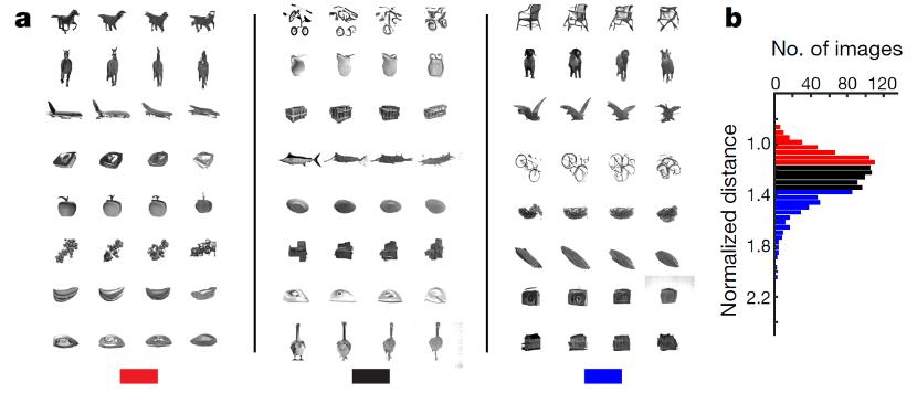 nature发现背后的机制,nature详细解析