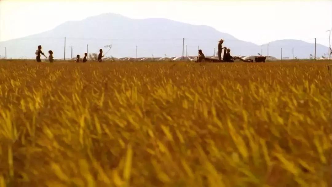 有生之年16集完整版,有生之年电视剧16集