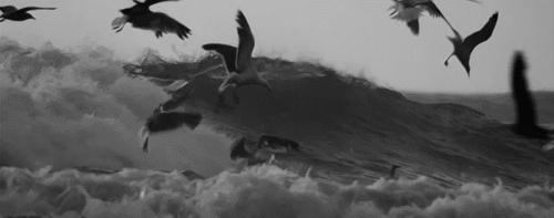 吴晓波投资中国科技,吴晓波卖的东西