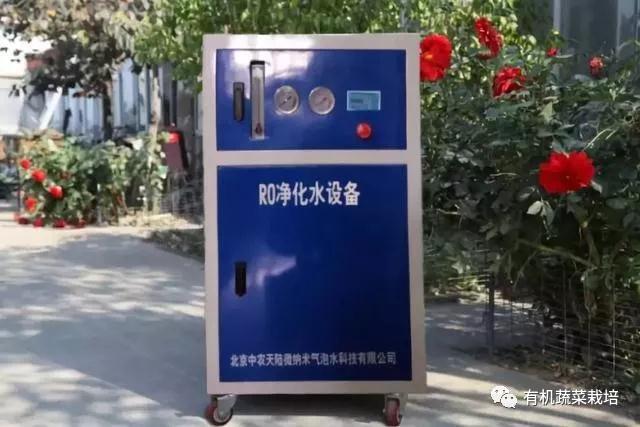 水培蔬菜种植的基础知识,水培蔬菜家庭版水培生菜