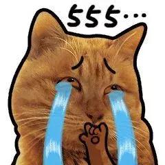 建设银行免费领取八达通,八达通领取5000元怎样使用