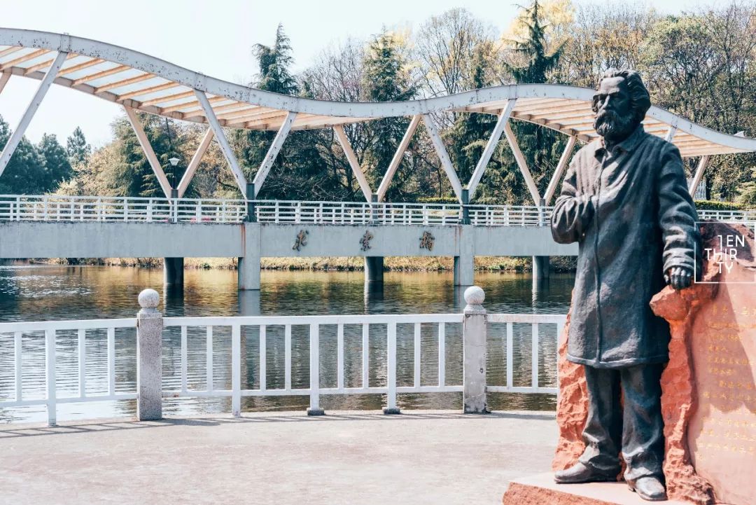 湖北经济学院为什么叫藏龙岛,湖北经济学院在江夏藏龙岛吗