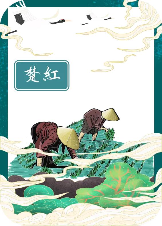 「手绘湖州」小满节气，一起揭开湖州古称“菰城”背后的玄机