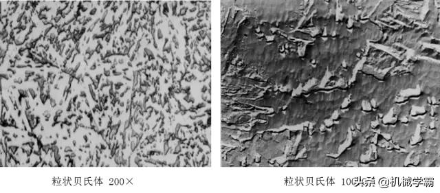 马氏体、奥氏体、珠光体，20种材料彩色金相，带你轻松识别