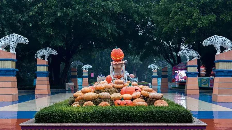 广州好玩景点蹦床乐园排名,广州最好玩的蹦床公园琶洲