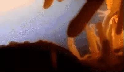 18张动图揭秘，你不是游得最快的那一个精子