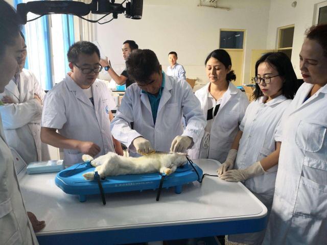 学医最好的十大专业排名,学医专业中哪个科室最挣钱