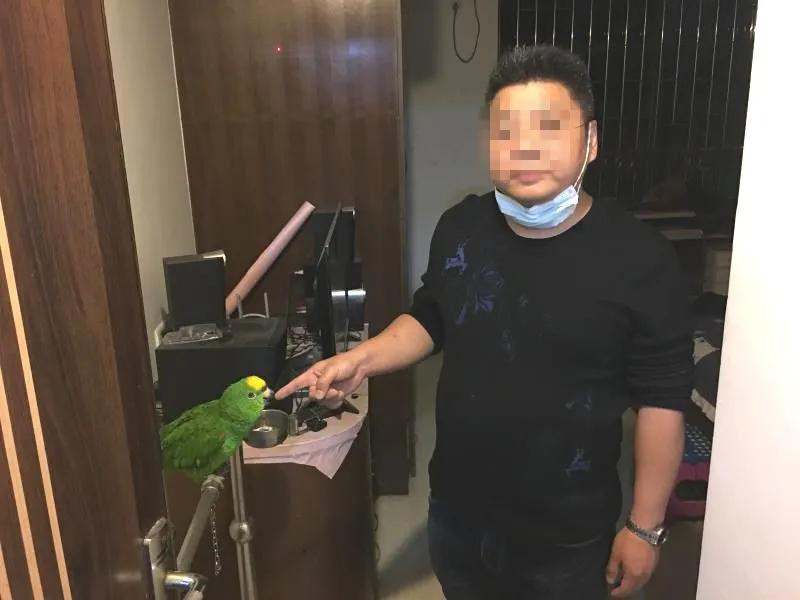 广东一男子卖鸭子被抓,一男子贩卖鸟却被抓