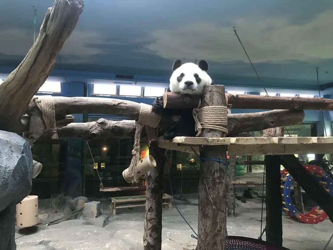 端午节武汉去处 (武汉端午节小长假去哪玩)