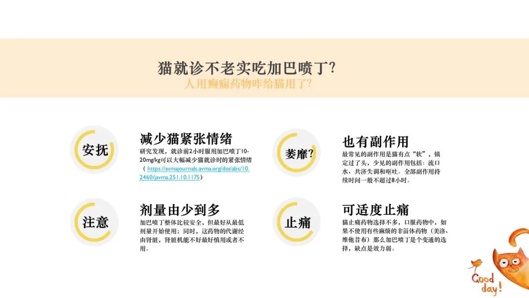 新手铲屎官养猫必备清单,养猫必备神器猫咪用品超便宜