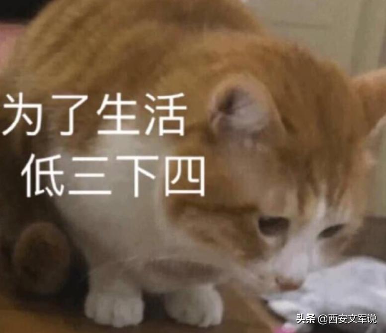 变着法处罚员工？生吃蚯蚓、喝厕所水、跪地爬行