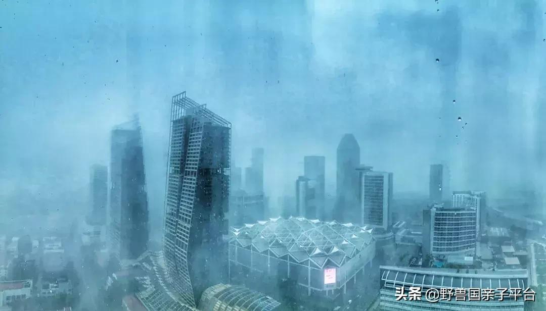 带孩子新加坡4天够玩吗,新加坡带孩子自由行几天