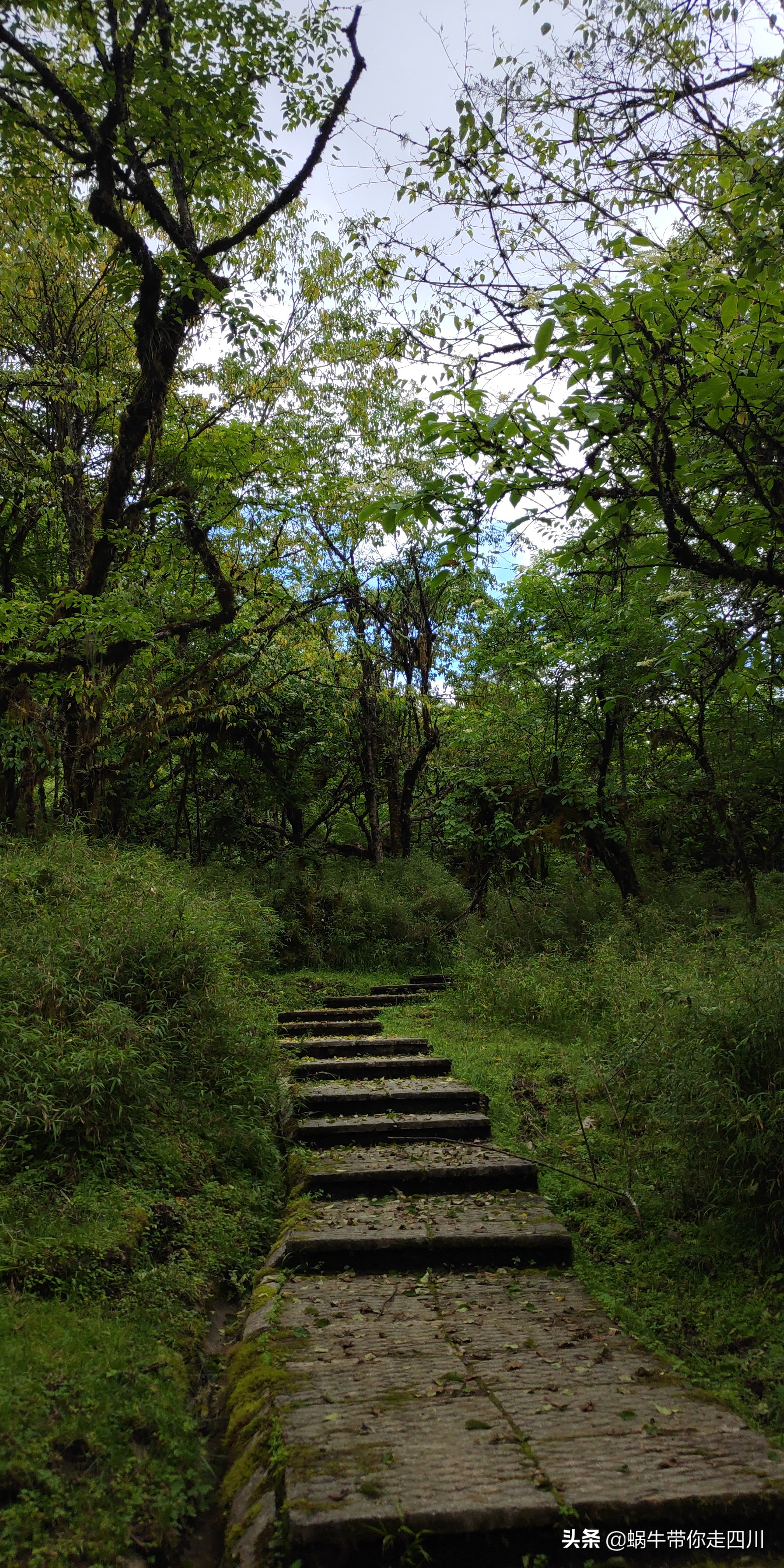 一家三口重庆到拉萨旅游攻略预算,一家三口成都去拉萨大概要多少钱