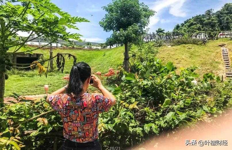 未来三大投资领域,中国未来的投资方向10大领域