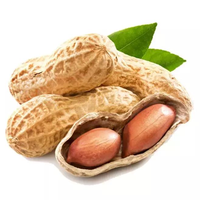 花生和黄瓜一起吃会中毒吗,吃了黄瓜炒鸡蛋会腹泻什么原因