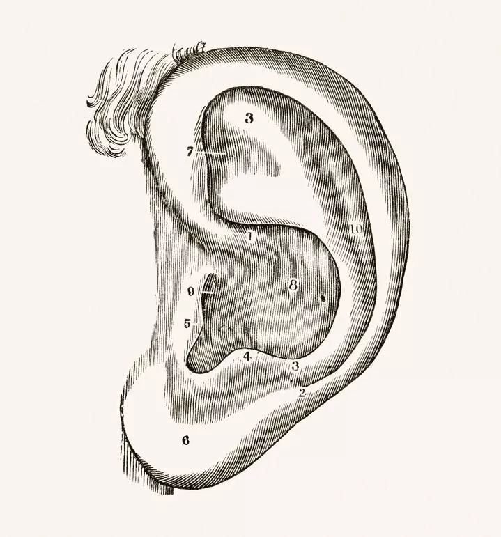 关注|电影看到一半，嘴巴合不上了！这病年轻人群高发