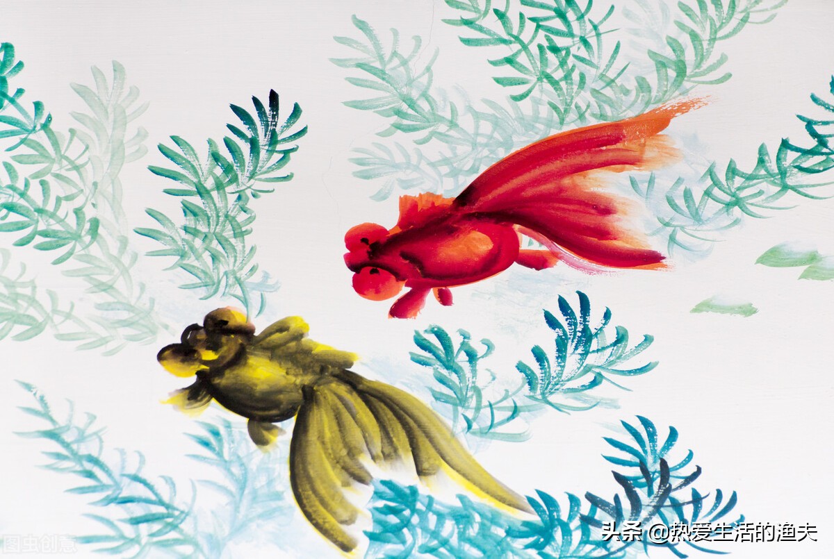 草金鱼长时间不喂食会饿死吗,草金鱼不喂食会不会饿死