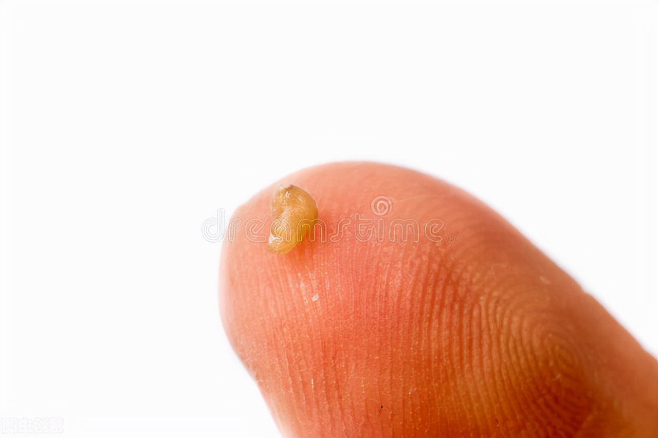 怎么去黑头最有效而且还不反复,如何简单去黑头最有效的方法