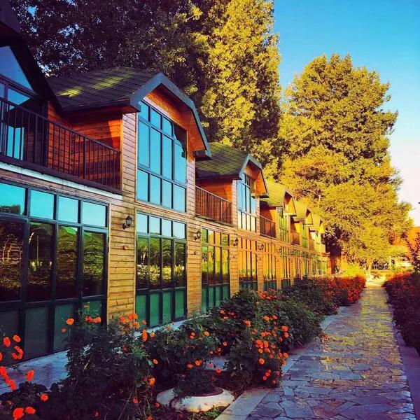 眼看着你从辉煌走向落寞，鹅和鸭农庄的前世今生