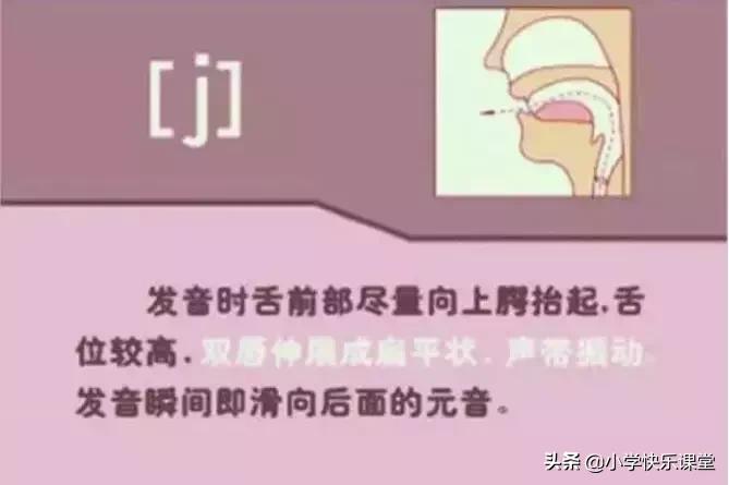 48个国际音标的发音口型视频图,英语48个音标发音口型视频