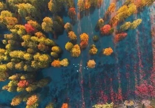 免费公园南京,南京江北免费公园