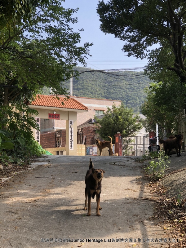 第1632回：金龟村被时光眷顾，坪头岭让田心山围