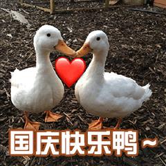 国庆ppt模板直接套用免费,国庆ppt模板免费下载