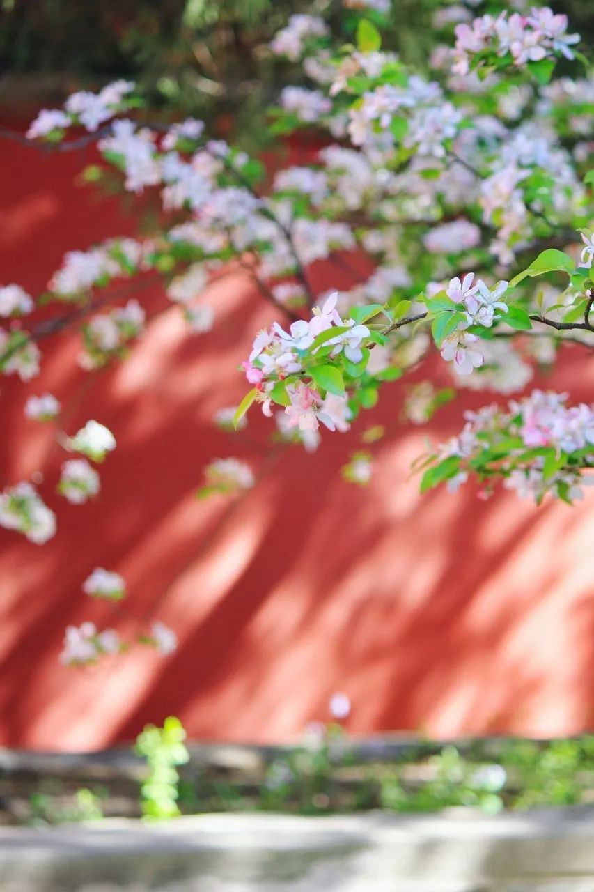 中国看日出最美的地方,中国最美的30个地方名单出炉