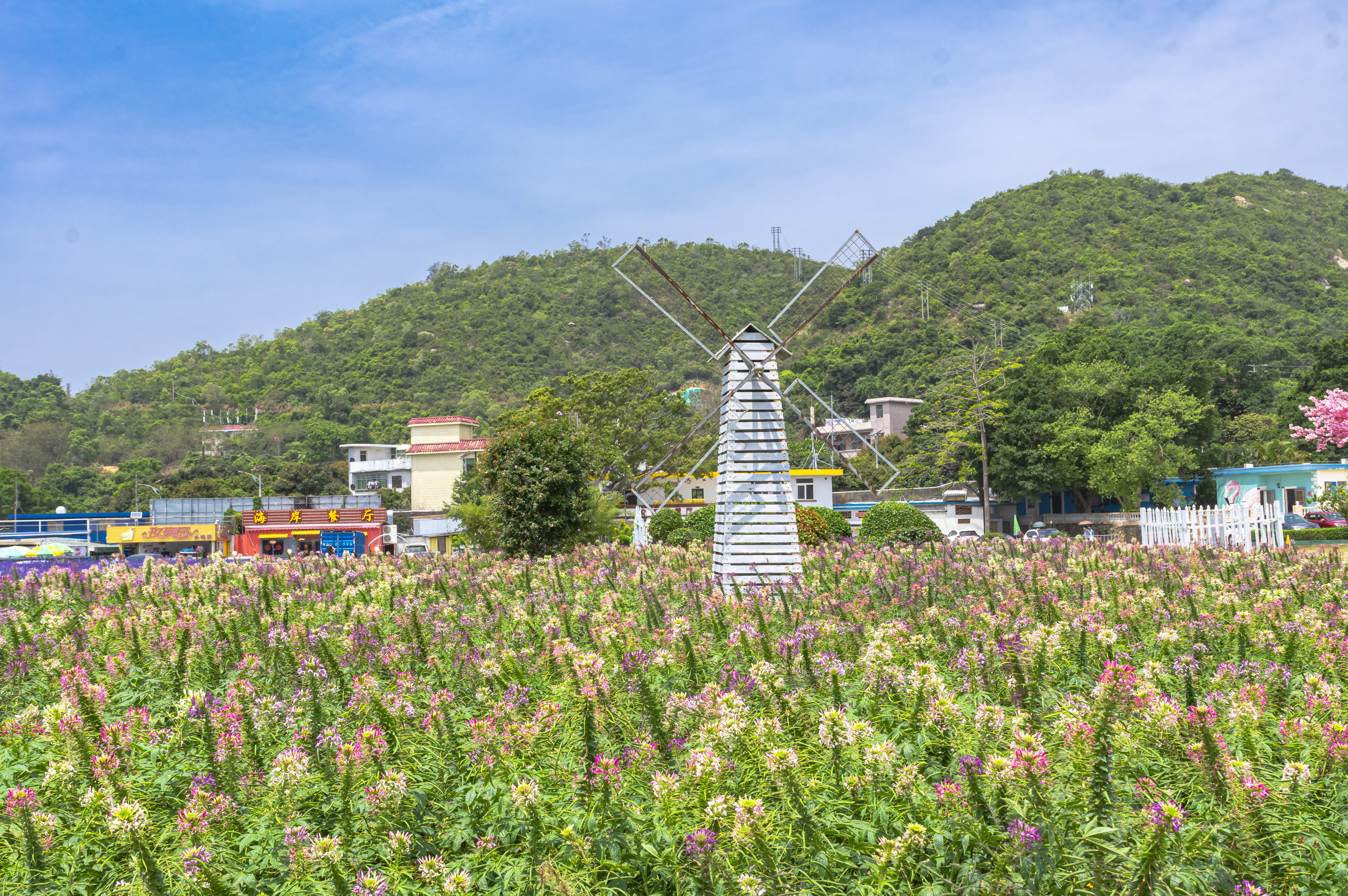 深圳玫瑰海岸，是一个你来一次，还会带着爱人再想来1次的地方