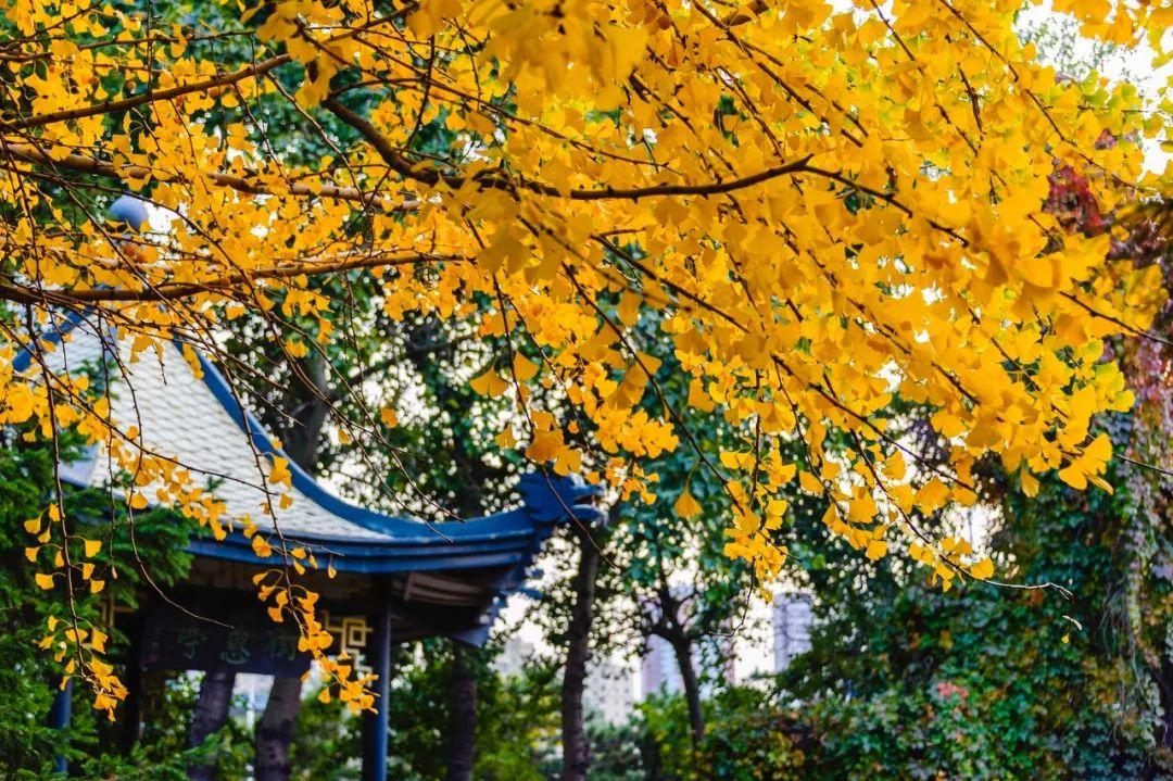 答应我疫情结束后好好锻炼,等疫情过了我们去沈阳