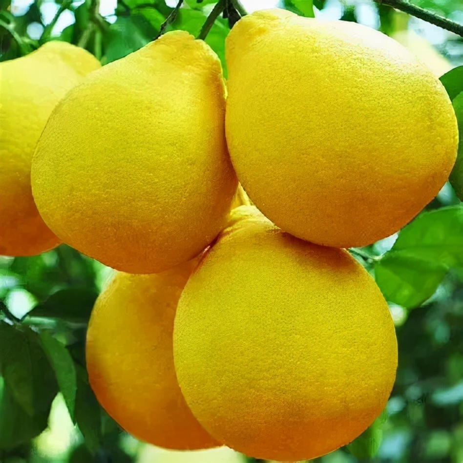 百县百日文旅消费季直播南康,百县百日文旅消费季南康分会场