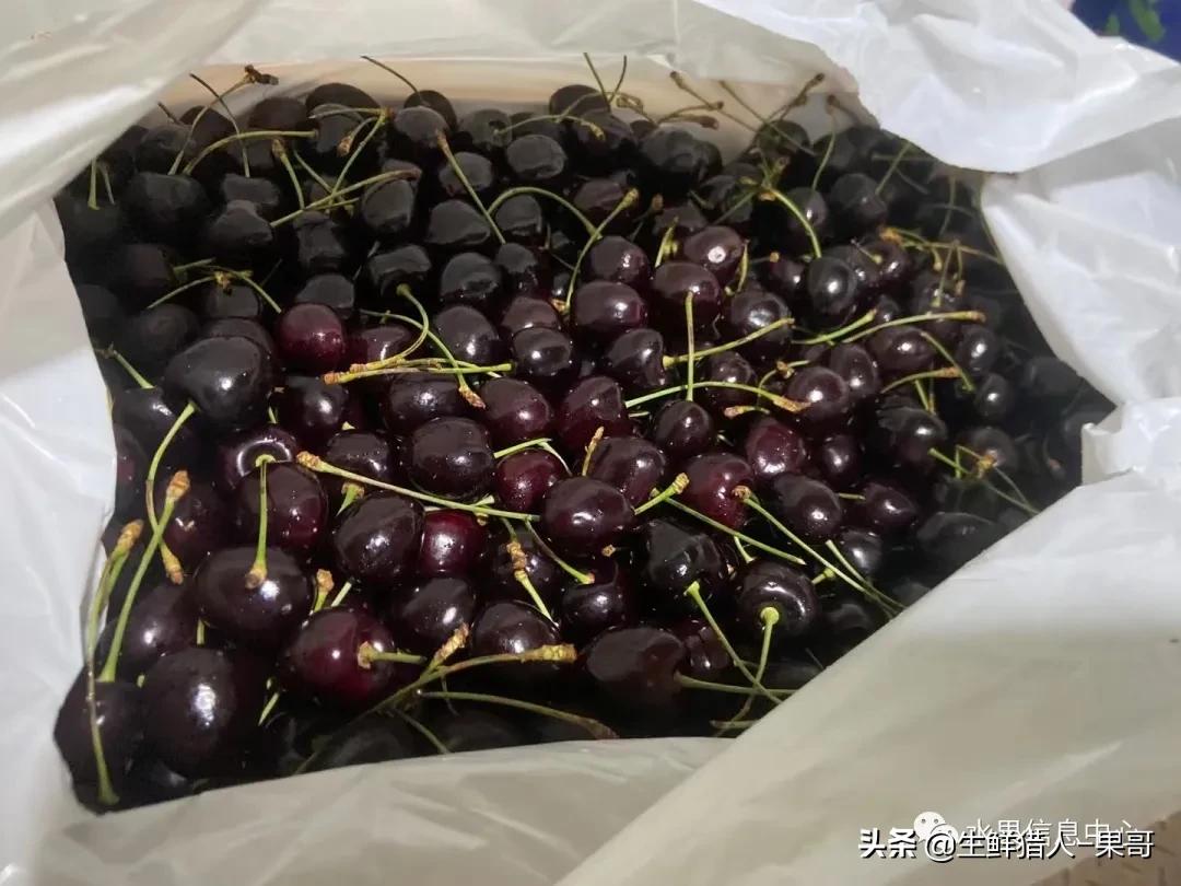 车厘子包装等级划分,车厘子标签各种日期形式