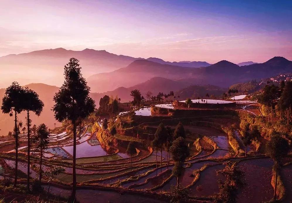 茗岙梯田航拍中国,茗岙梯田仙境