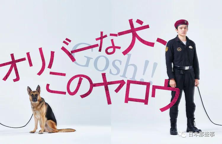 最新日剧电视剧大全免费观看,日剧大全100部