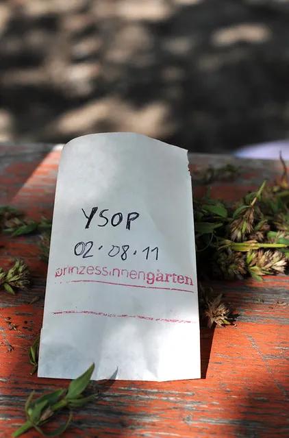 农庄餐饮怎么经营赚钱,怎么经营农家乐卖菜生意