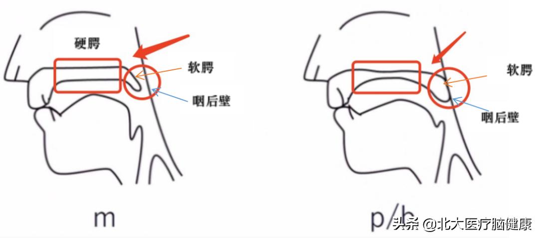 孩子发音不清楚的训练方法视频,一年级前后鼻音发音分不清怎么办
