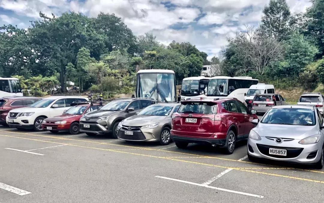 比国内油价还高三四块！这地方奔驰不如日系车受欢迎！