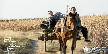 白鹿原中的风土人情,白鹿原上的生活记忆