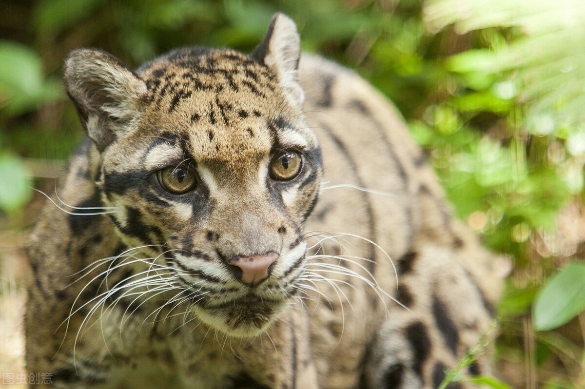 涔″湡涓浗鍙版咕,瀹濆矝鍙版咕鍦扮悊鍥剧墖