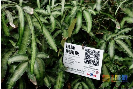 夏天就要去没有太阳的城市避暑,夏天就是要出去玩