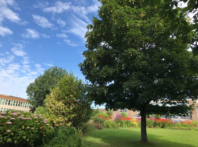 英国在伦敦市中心的大学有哪些,英国东伦敦大学好吗