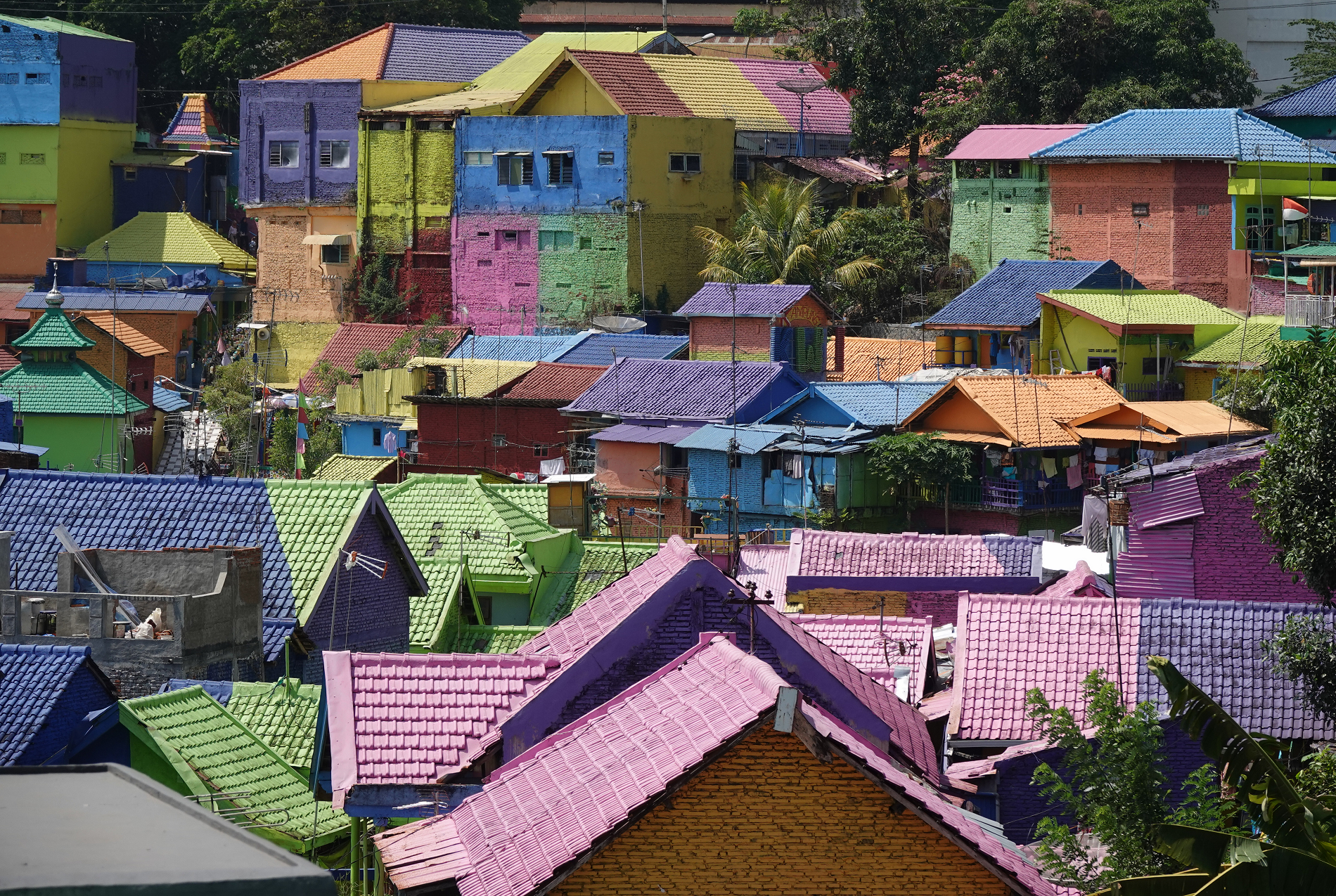 璐皯绐熸渶缇庡僵铏规潙,鍗板凹褰╄櫣鏉戣传姘戠獰