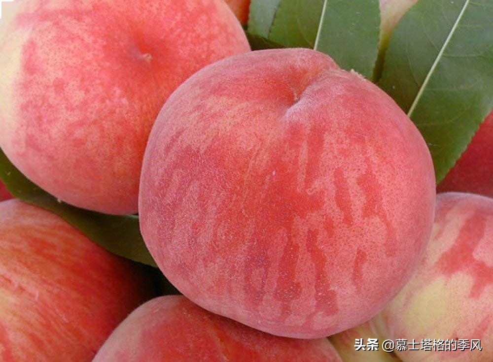 中国被低估的城市,最被低估的宜居城市