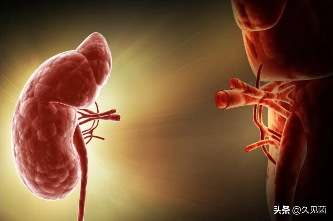 被冷冻的人至今怎么样了,首例冻人50年后复活的现状