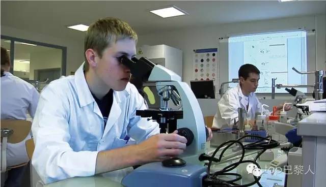 种草机器是什么意思,种草机的简介