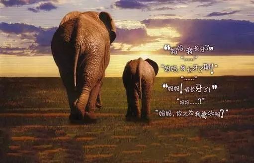 文玩的十大黑幕,文玩最让人无奈的六件事