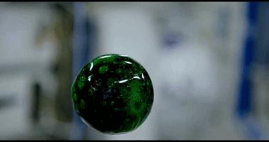 人类的本能反应如：打嗝放屁，在太空中可能都会引发致命灾难？