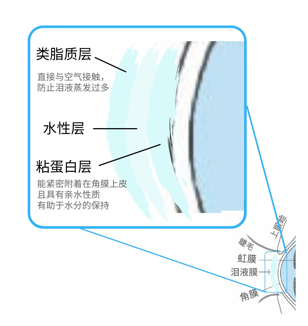 眨眼睛频繁和挤眼睛频繁的区别,眼睛每天眨眼多少次才正常