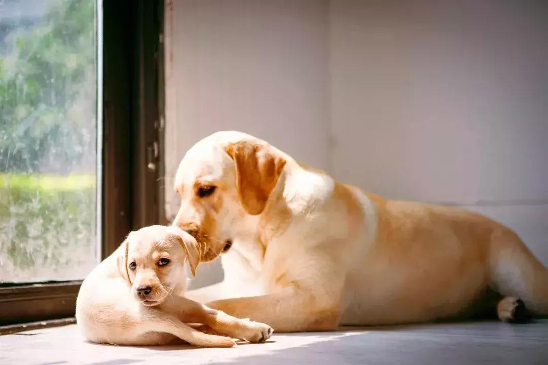 美炸了!天津又一家打卡圣地!自选风格+服装任选+底片全送...