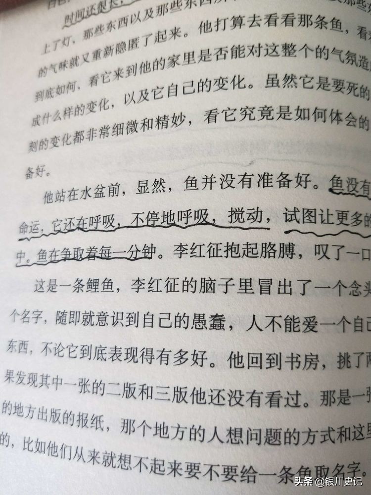 舒梦:老同学金瓯小说集《一条鱼的战争》让我重温走过的岁月
